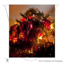 Christmas-Tree-West-Sussex-Photography