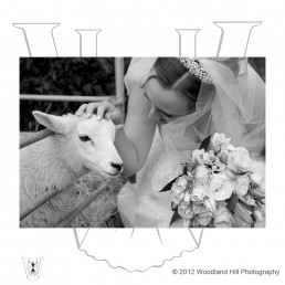 Little Silver Wedding Photography Tenterden Kent5