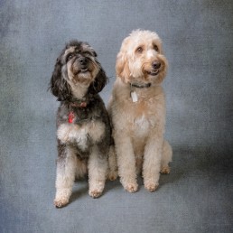 pet-family-children-photographer-sussex-surrey-kent