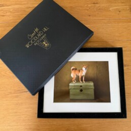 treasure boxes containing prints and digital images