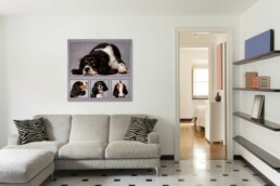 wall art collage of a dog on the wall showing their character